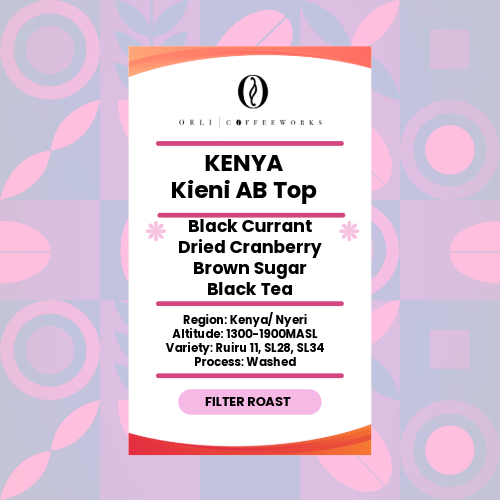 Drip Bag - Single Origin Kenya Kieni AB Top Washed