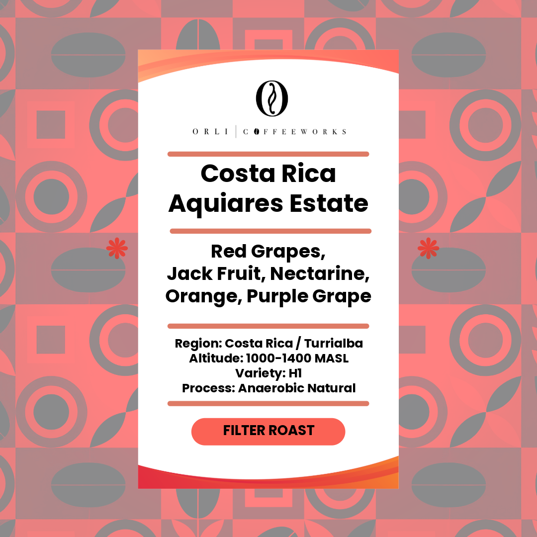 Drip Bag - Single Origin Costa Rica Aquiraes Estate H1
