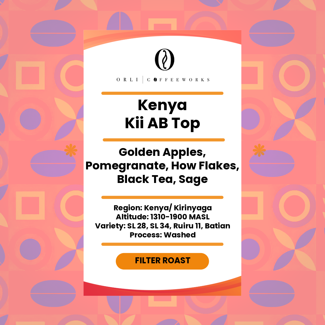 Kenya Kii Factory AB Top Washed 100g Black Friday Sale