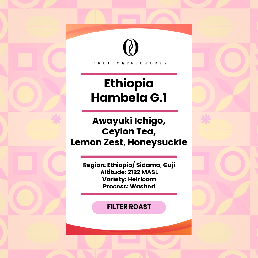 Drip Bag - Single Origin Ethiopia Guji Hambela Washed