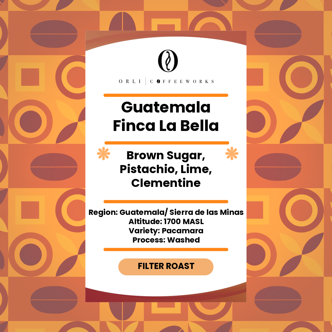 Guatemala Finca La Bella Pacamara Washed 250g