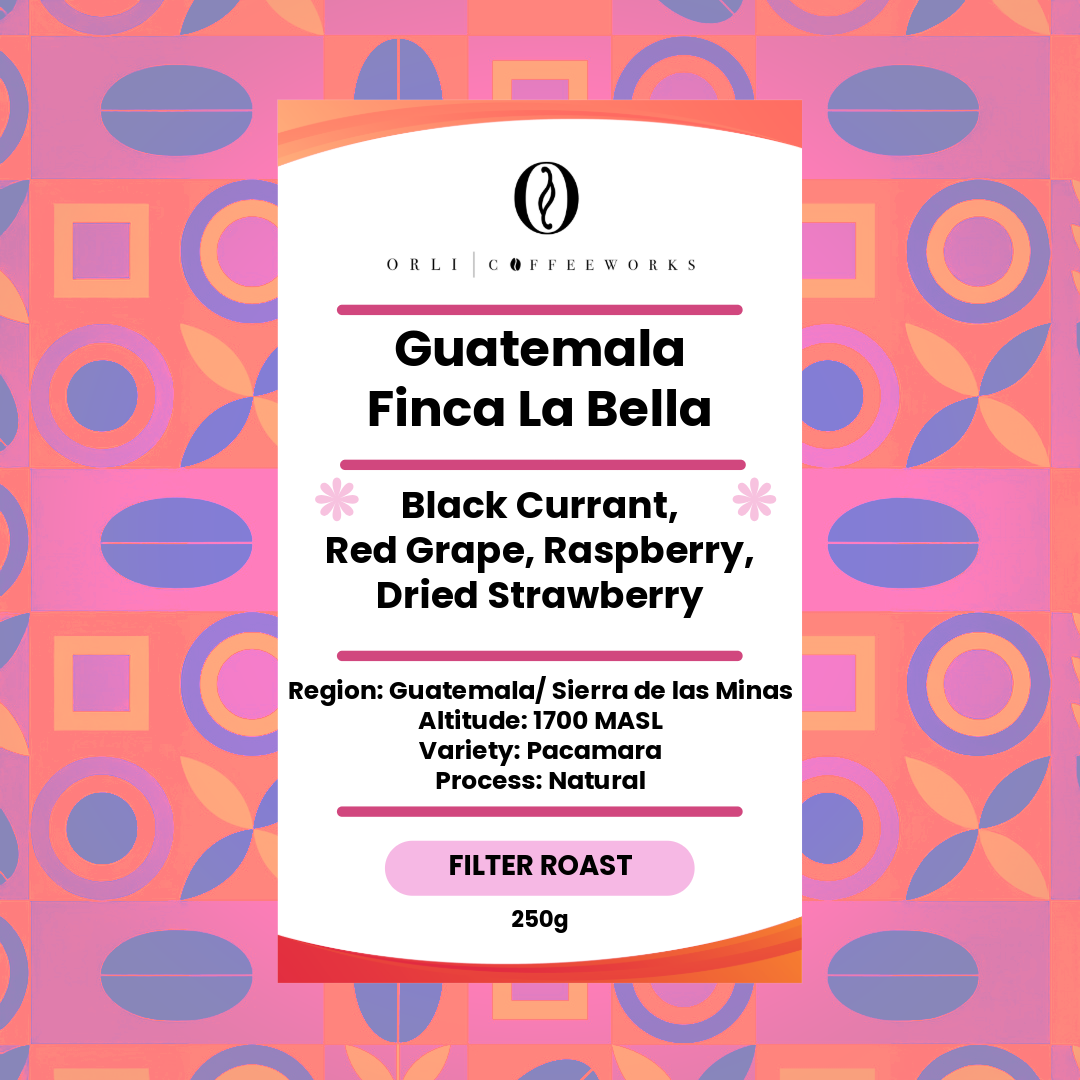 Guatemala Finca La Bella Pacamara Natural 100g Black Friday Sale
