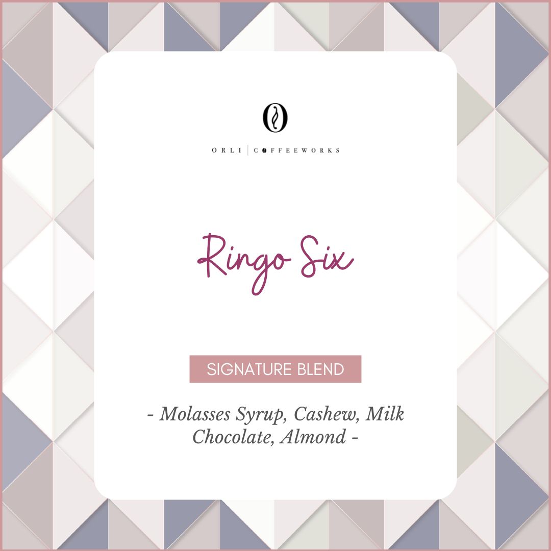 Drip Bag - Signature Blend Ringo 6