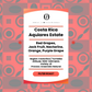 Drip Bag - Single Origin Costa Rica Aquiraes Estate H1