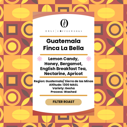 Guatemala Finca La Bella Geisha Washed 250g