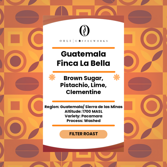 Guatemala Finca La Bella Pacamara Washed 250g